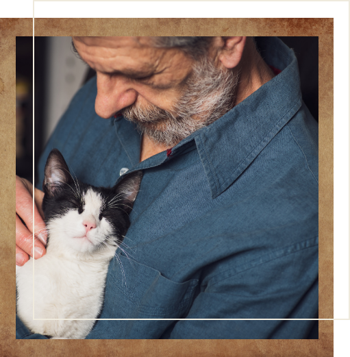 Senior man in apartment holding and looking down at white and black cat