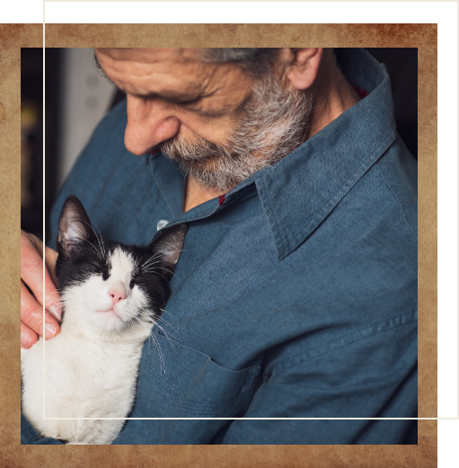 Senior man in apartment holding and looking down at white and black cat
