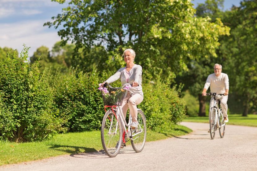 Two older adults ride bicycles on a sunny path in a green park, smiling and enjoying the outdoors.