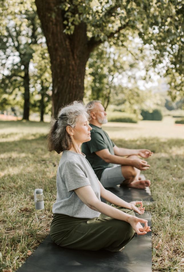 Two older adults meditate in a park, sitting cross-legged on yoga mats under a large tree.